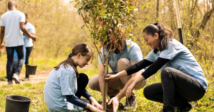 three people in matching shirts planting a tree, volunteers, Credit: DC Studio/Shutterstock